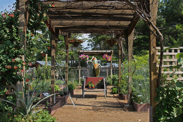 vegetable garden vegetable garden