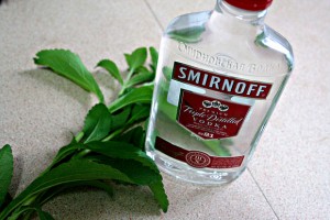 how-to-make-liquid-stevia-extract