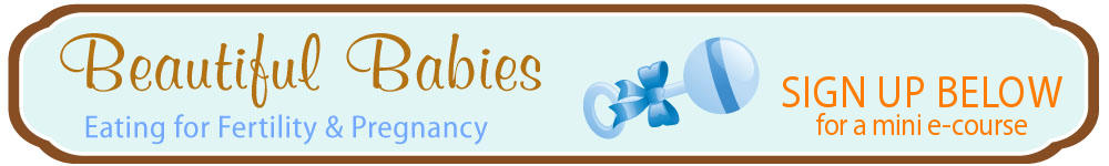 Beautiful Babies: nutrition for fertility, pregnancy, breastfeeding, & baby's first foods