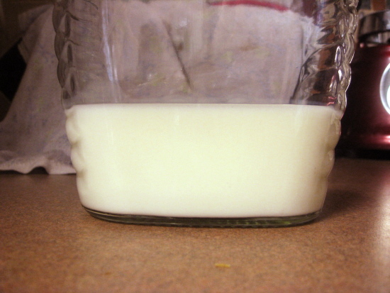 Pour the buttermilk into the jar.