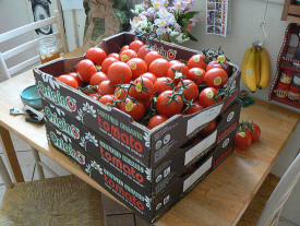 3 Cases of Organic Tomatoes Rescued From a San Francisco Dumpster and Transformed Into Canned Tomato Sauce