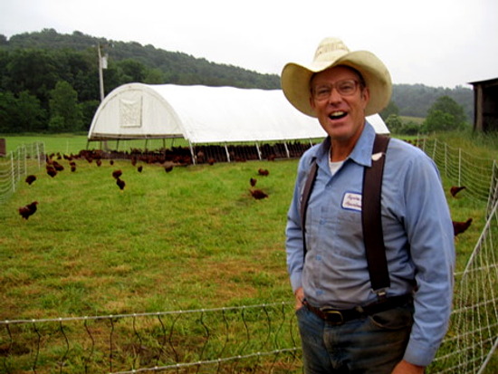 joel salatin free range organic pastured hens eggs