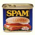 Is Spam cheap?