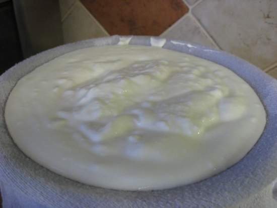 Now, pour that quart of yogurt into the towel and let it drip into the bowl.