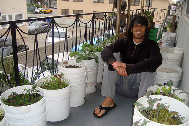 Container Gardening 101: Organic Gardening for Apartments