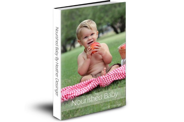 Nourished Baby E-book