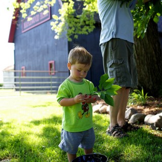 reduce your child's pesticide exposure