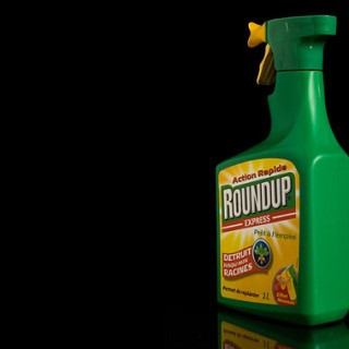 roundup glyphosate kills gut bacteria causes disease