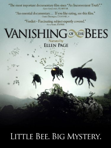 vanishing-bees
