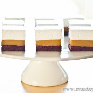 chocolate caramel marshmallow bars