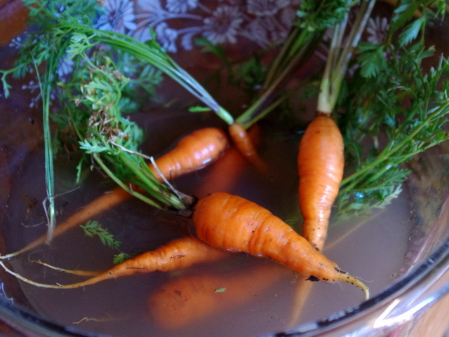 easy-homesteaders-bibimbap-recipe-carrots