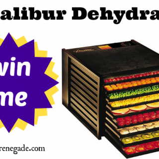 aug-2013-excalibur-dehydrator-640