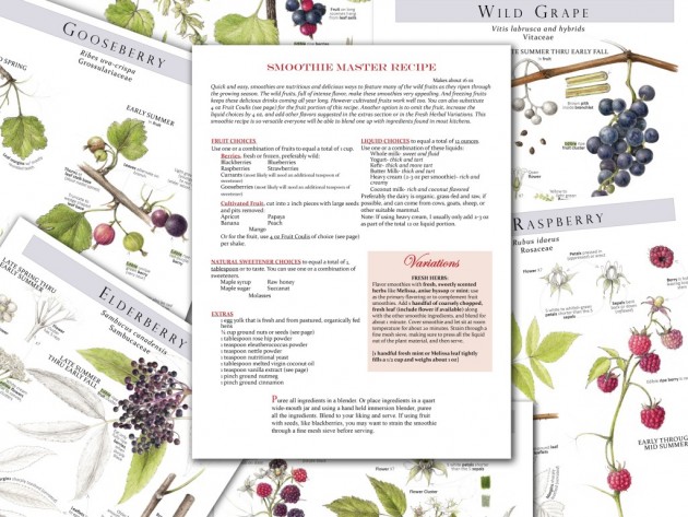 foraging-feasting-master-recipes