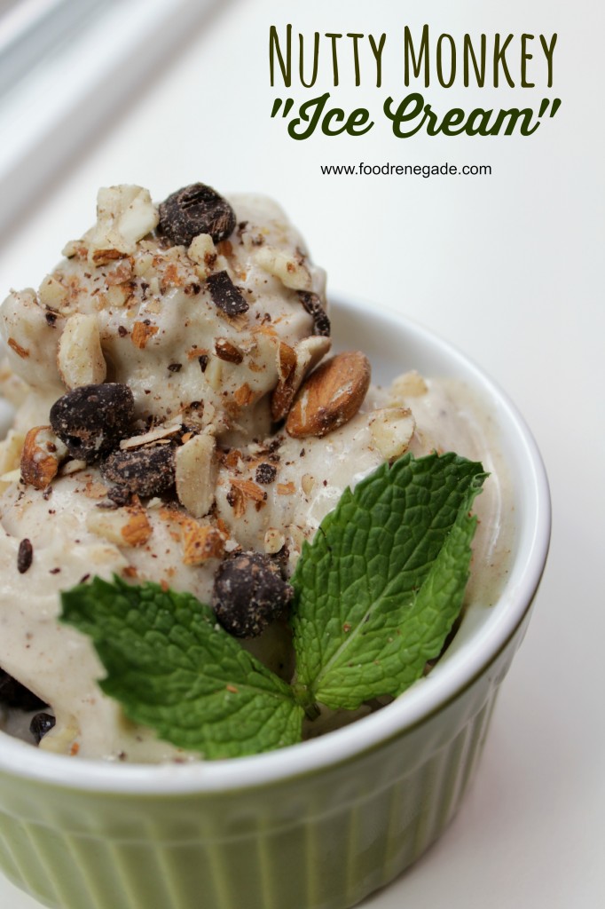 Nutty Monkey Ice Cream Dairy Free