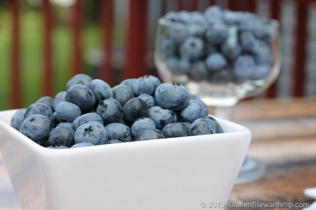 Blueberries Are Antioxidants