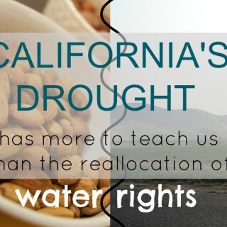 California Drought: Almonds vs. Alfalfa