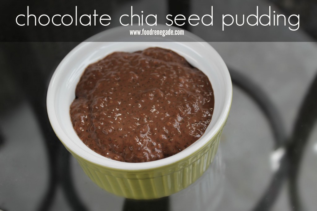 Chocolate Chia Seed Pudding Pin