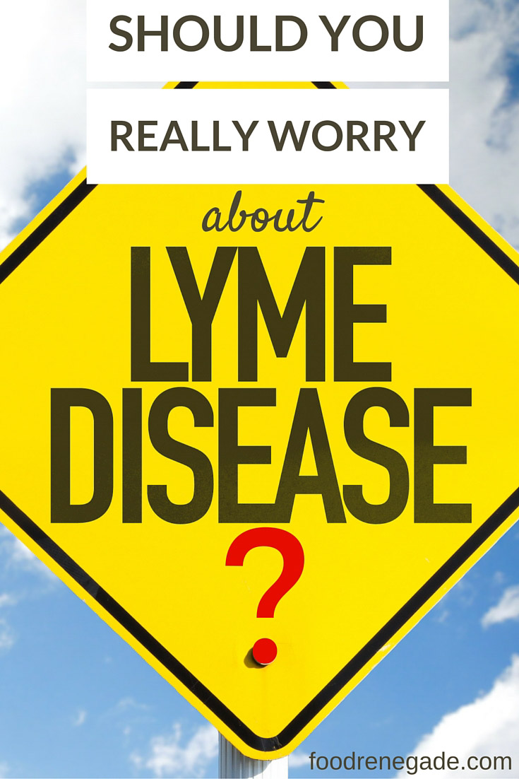 Should you really worry about chronic Lyme disease?