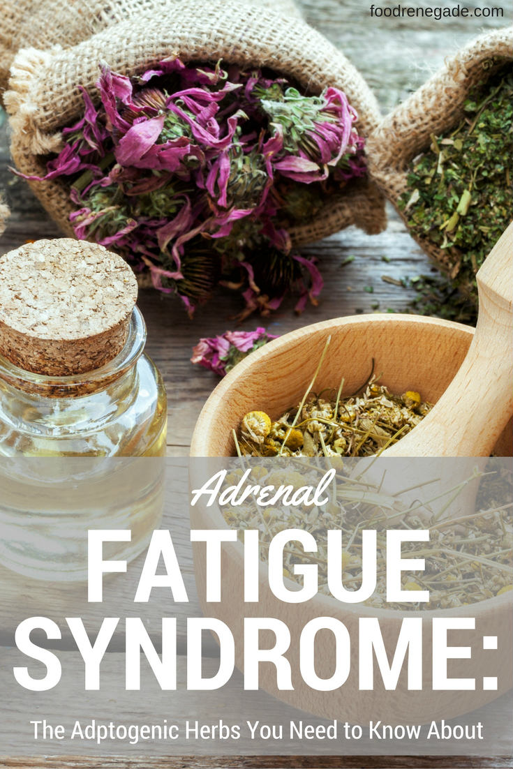 Adrenal Fatigue Syndrome: The Adaptogenic Herbs You Need to Know About | Food Renegade