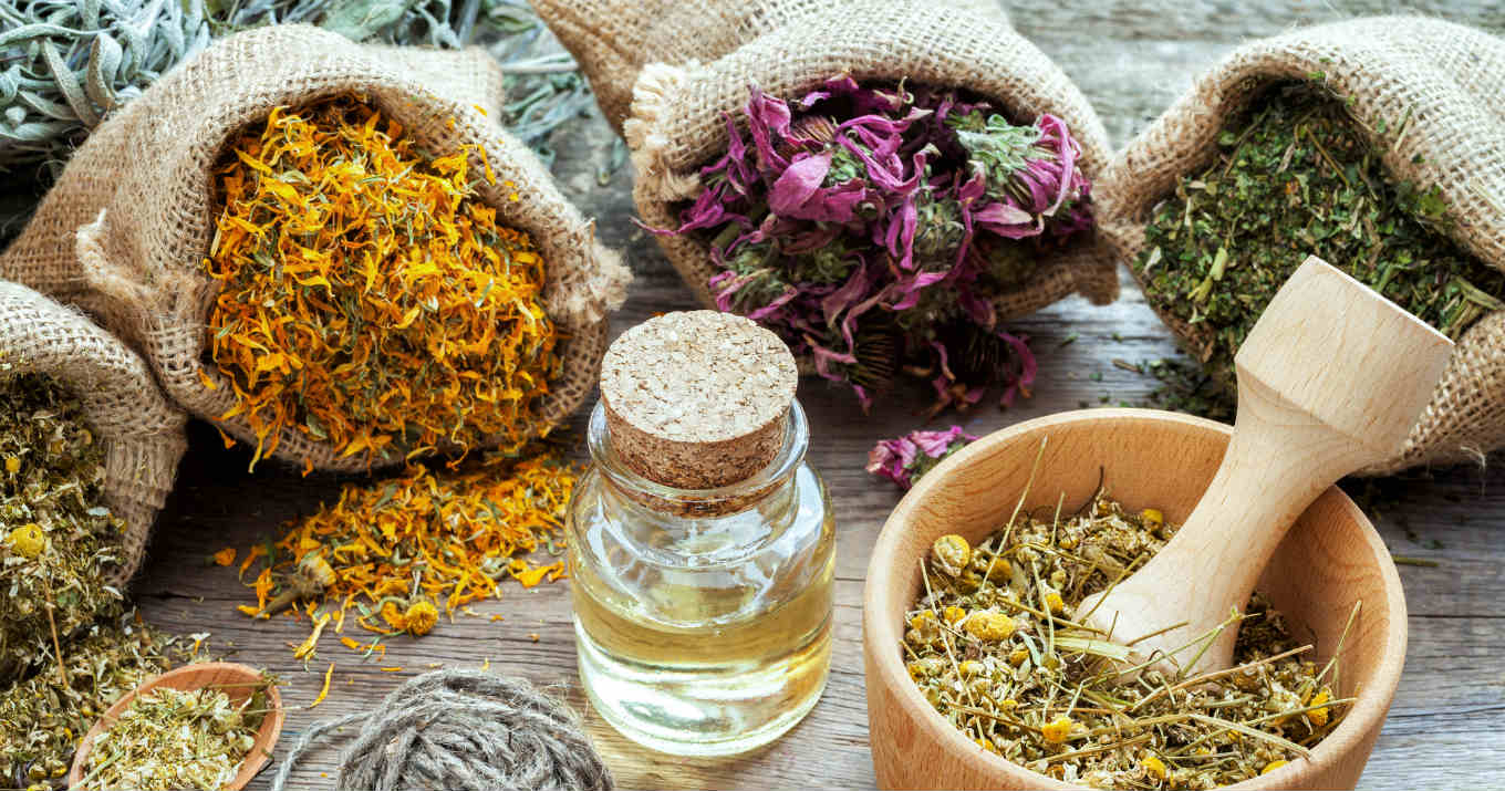 Adrenal Fatigue Syndrome: The Adaptogenic Herbs You Need to Know About | Food Renegade