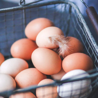 buy healthy eggs pasture raised