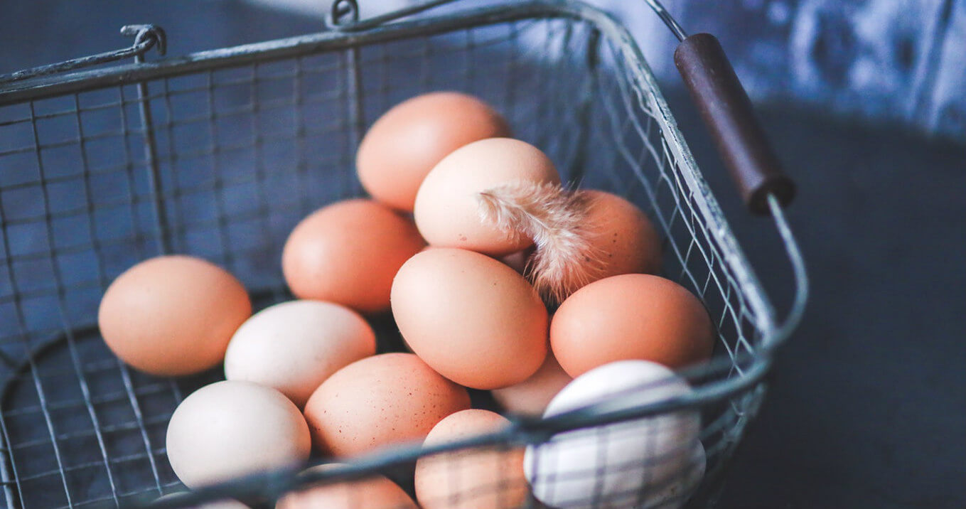 buy healthy eggs pasture raised