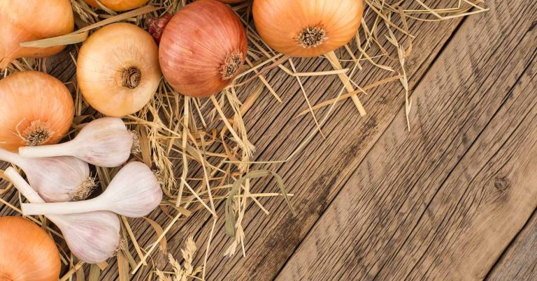 7-Great-Sources-of-Collagen-You-Should-Be-Eating-Every-Day-1