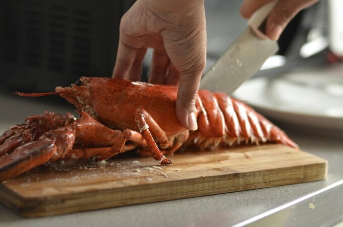 Maine lobster