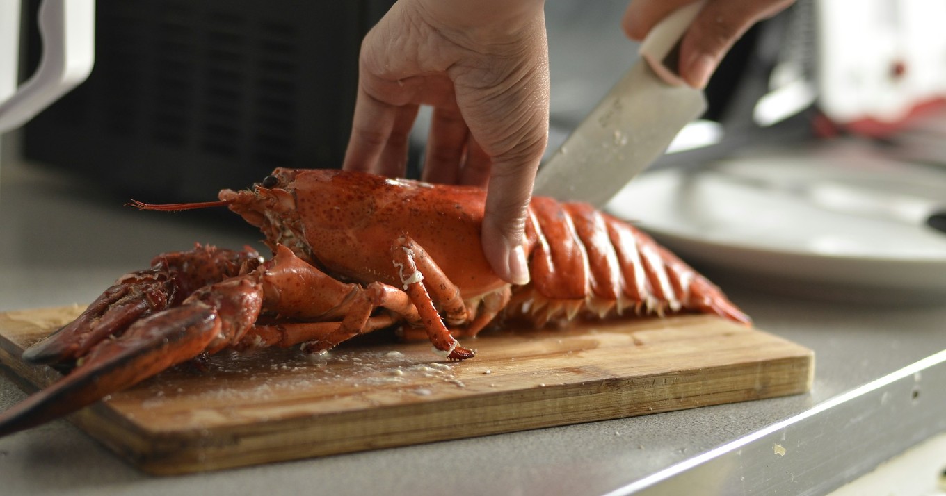 Maine lobster